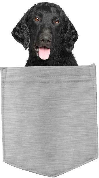 Retriever Curly-Coated in pocket Fridge Car Magnet Bumper Sticker App size 4"x7"
