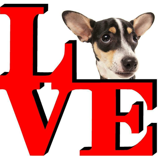 Rat Terrier Park Cute Dog Fridge Refrigerator Car Magnet