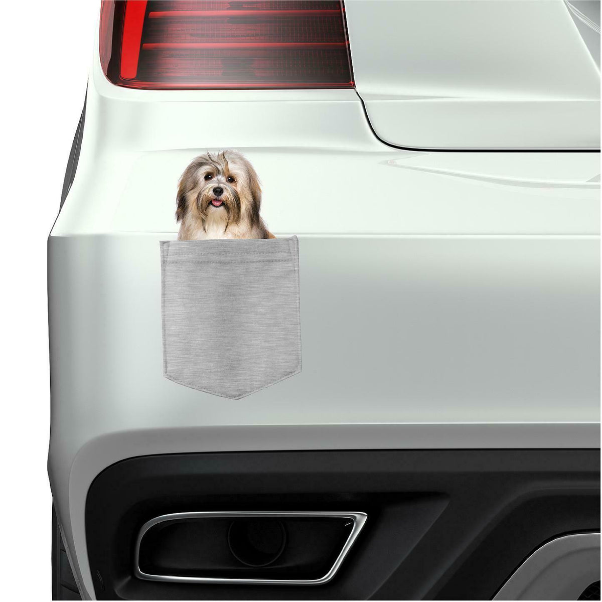 Havanese Dog in pocket Fridge Car Magnet Bumper Sticker App size 4"x7"