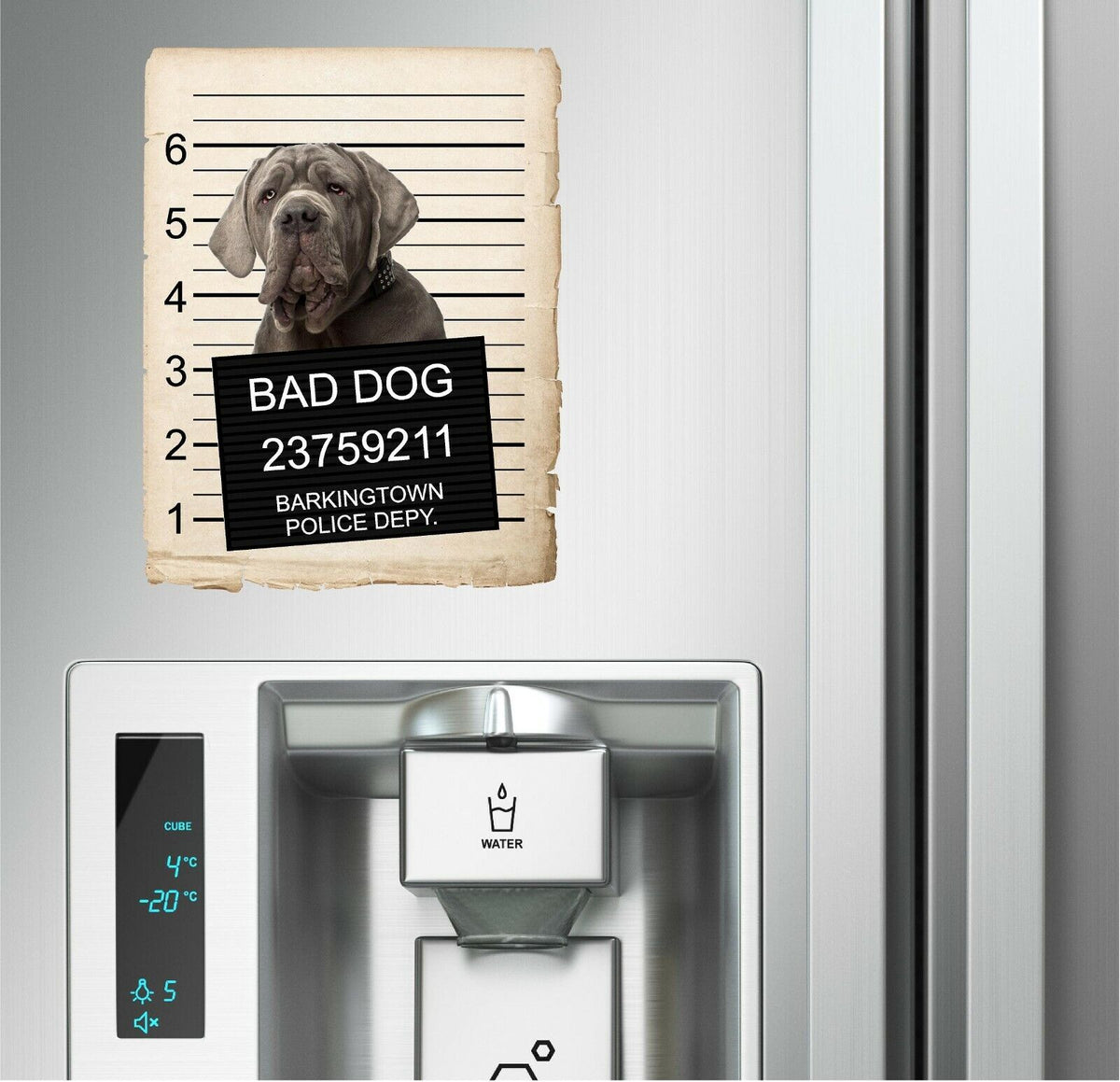 Neapolitan Mastiff Mugshot Bad Dog Fridge refrigerator Car Magnet