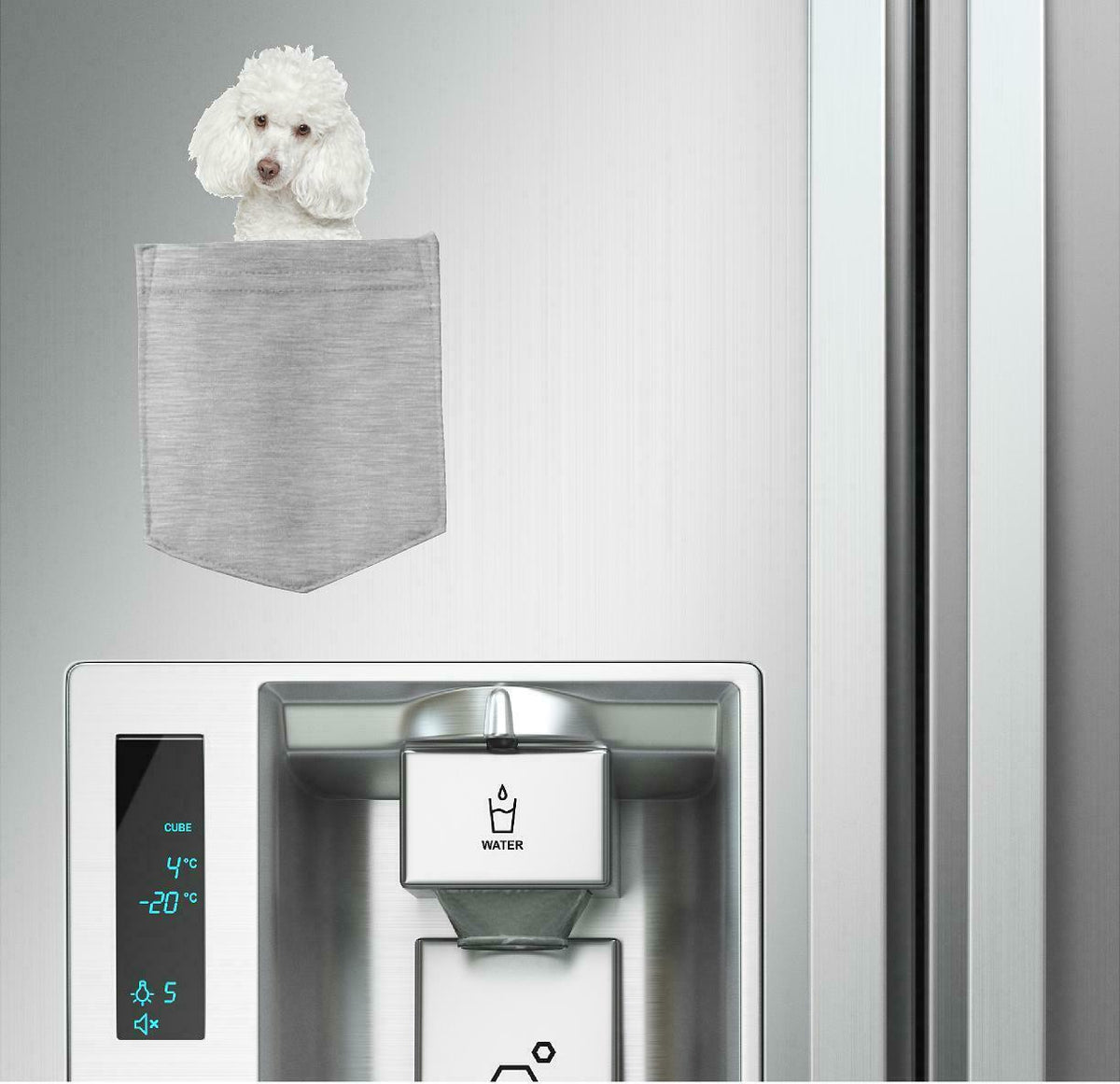 Poodle Dog in pocket Fridge Car Magnet Bumper Sticker App size 4"x7"