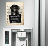 Lhasa Apso Mugshot Bad Dog Fridge refrigerator Car Magnet