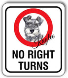 Kaylee No Right Turns Aluminum