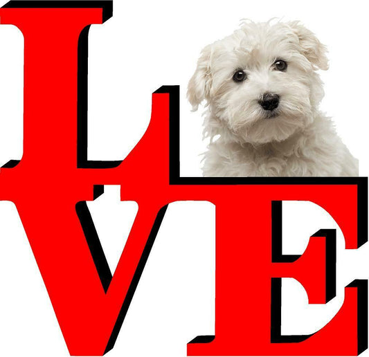 Maltese Love Park Dog Fridge Refrigerator Car Magnet