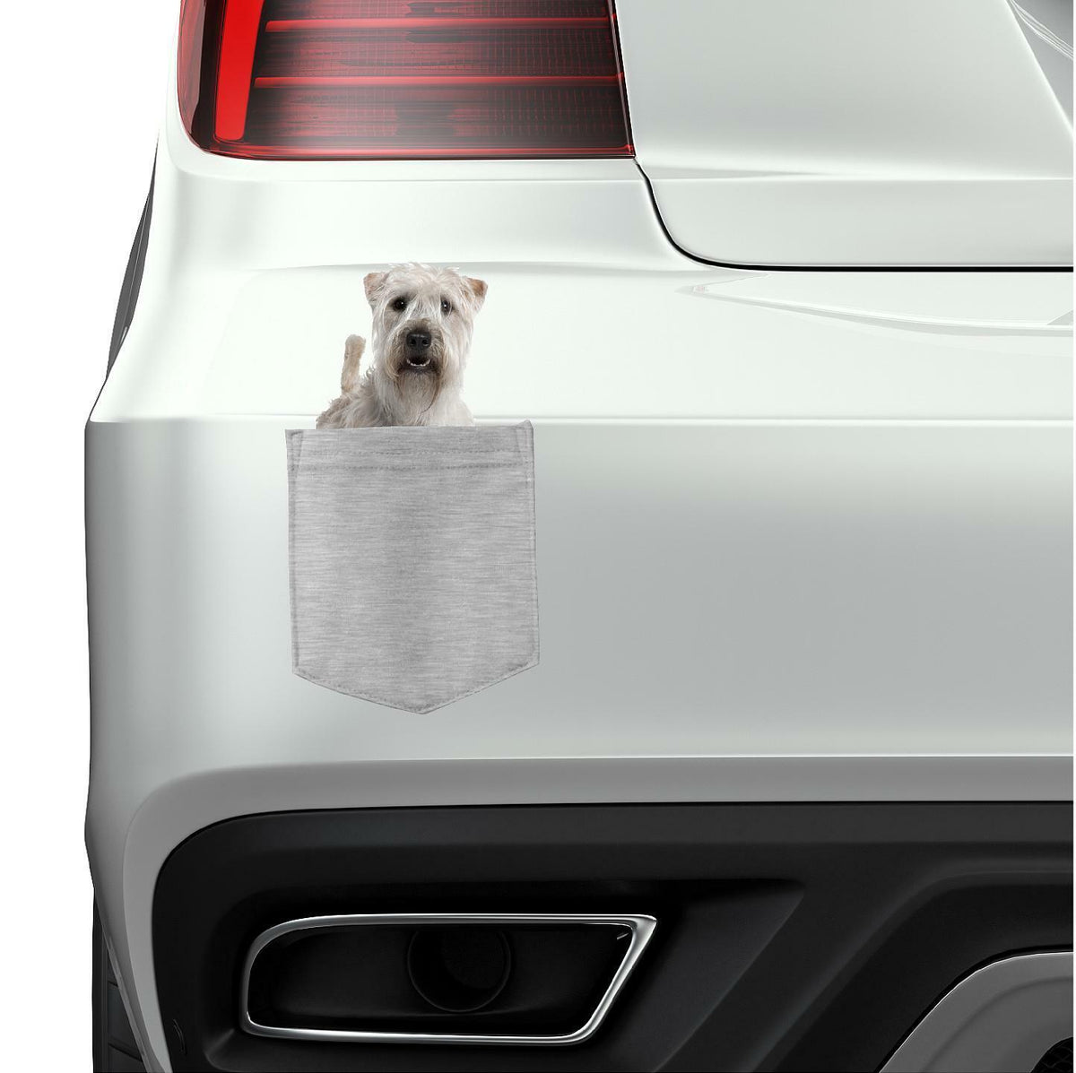 Soft Coated Wheaten in pocket Fridge Car Magnet Bumper Sticker App size 4"x7"