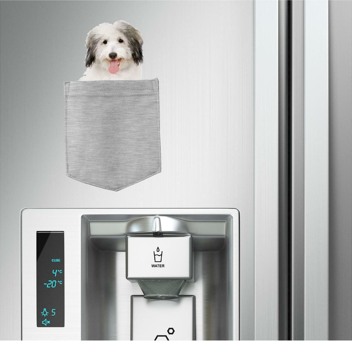 Coton De Tulear Dog in pocket Fridge Car Magnet Bumper Sticker App size 4"x7"