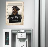 Rottweiler Mugshot Bad Dog Fridge refrigerator Car Magnet