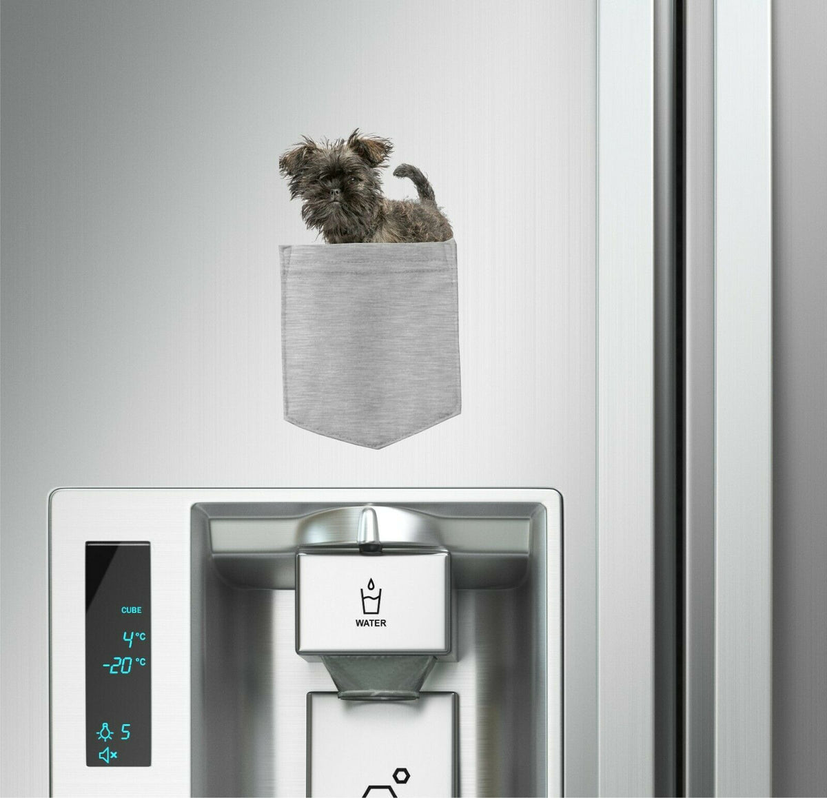 Affenpinscher Dog in pocket Fridge Car Magnet Bumper Sticker App size 4"x7"