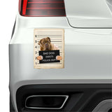 Bull Mastiff Mugshot Bad Dog Fridge refrigerator Car Magnet