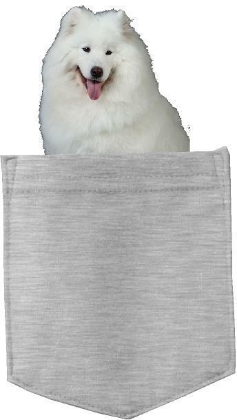 Samoyed Dog in pocket Fridge Car Magnet Bumper Sticker App size 4"x7"