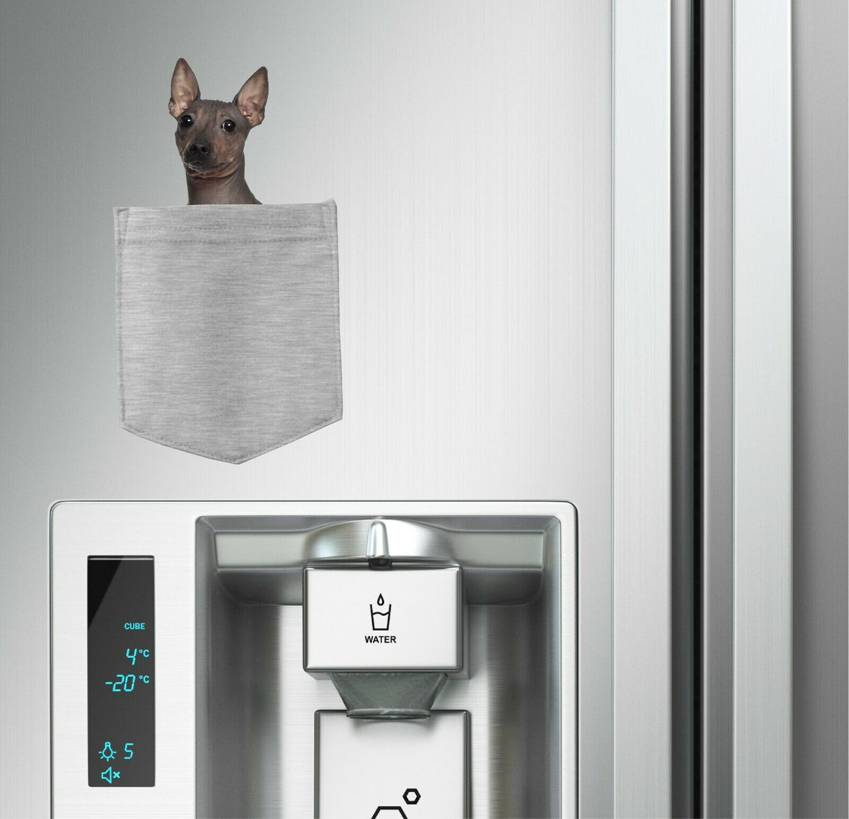 American Hairless Dog in pocket Fridge Car Magnet Bumper Sticker App size 4"x7"