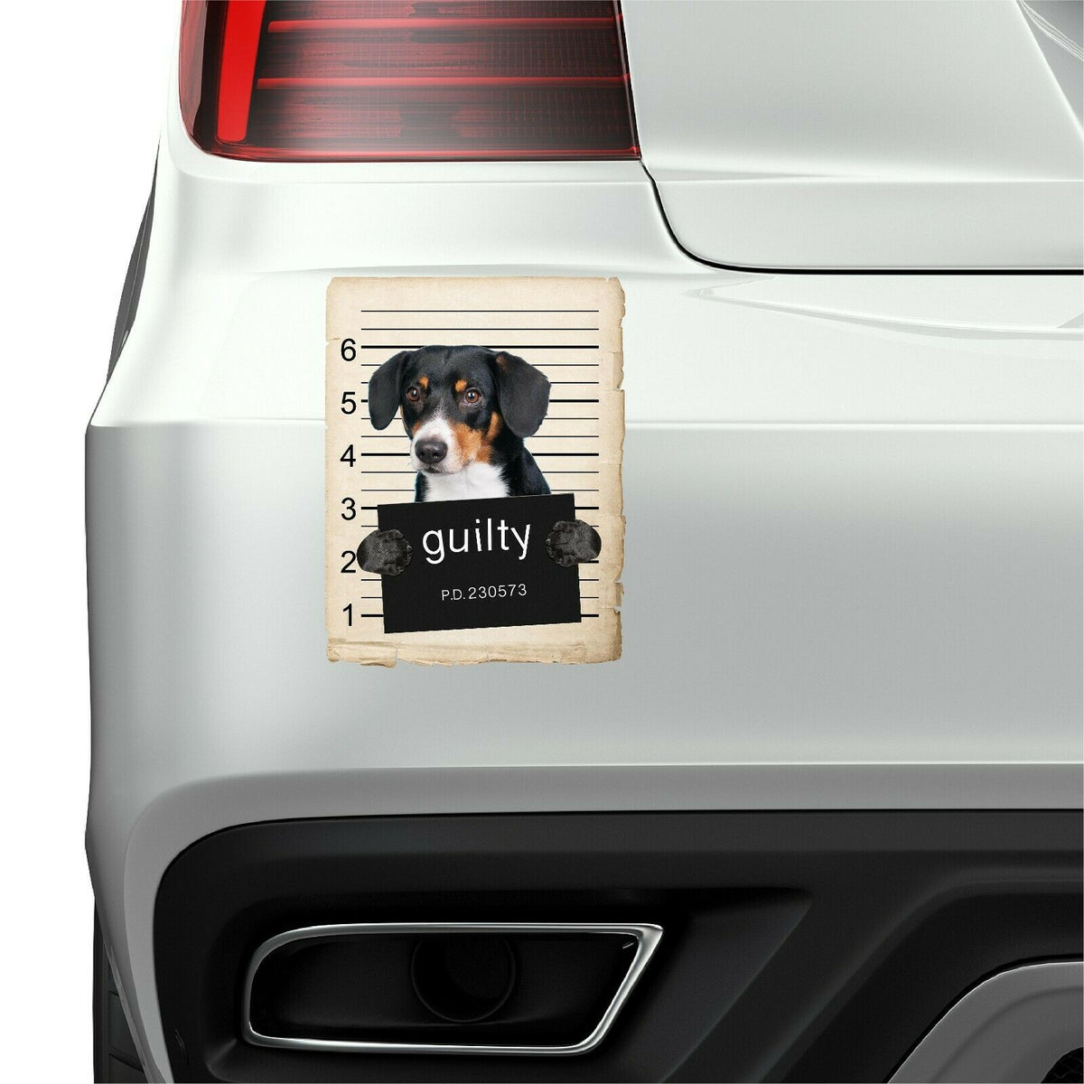 Entlebucher Sennenhund Mugshot Bad Dog Fridge refrigerator Car Magnet