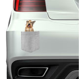 Berger Picard Dog in pocket Fridge Car Magnet Bumper Sticker App size 4"x7"