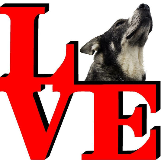 Norwegian Elk Hound Love Park Cute Dog Fridge Refrigerator Car Magnet