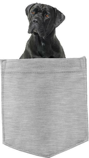 Cane Corso Dog in pocket Fridge Car Magnet Bumper Sticker App size 4"x7"