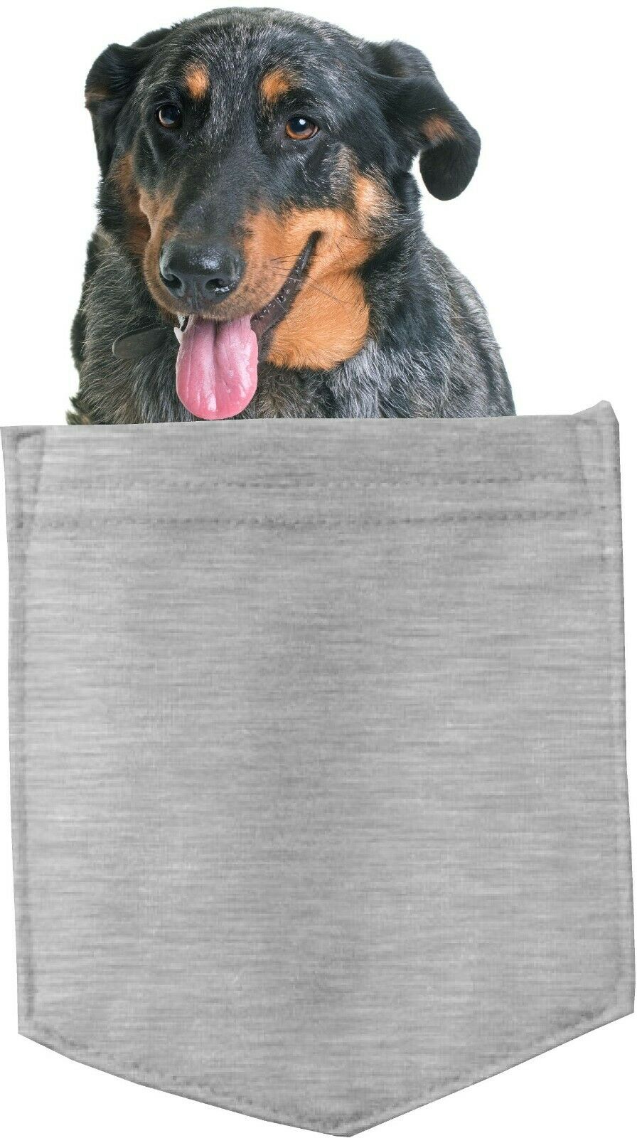 Beauceron Dog in pocket Fridge Car Magnet Bumper Sticker App size 4"x7"
