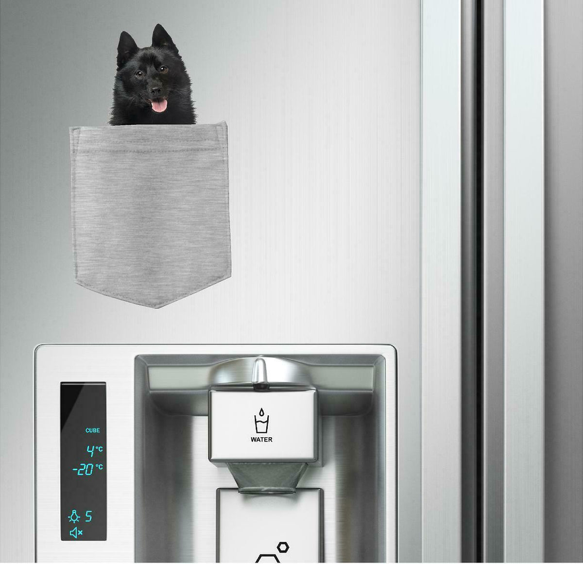 Schipperkes Dog in pocket Fridge Car Magnet Bumper Sticker App size 4"x7"