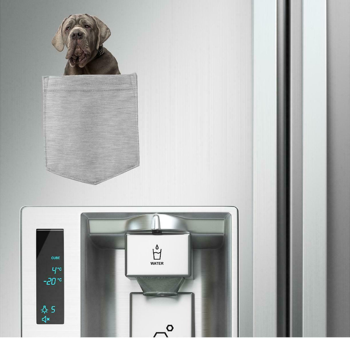 Neopolitan Mastiff Dog in pocket Fridge Car Magnet Bumper Sticker App size 4"x7"