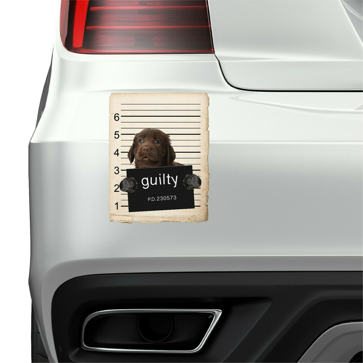 Flat coated retriever Mugshot Bad Dog Fridge refrigerator Car Magnet