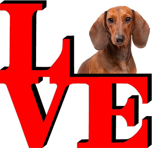 Dachshund Dog Love Park Dog Fridge Refrigerator Car Magnet