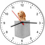 Spinone Italiano In Your Pocket Dog kitchen living room Wall Clock