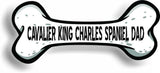 Dog Dad Cavalier King Charles Spaniel Bone Car Magnet Bumper Sticker 3"x7"