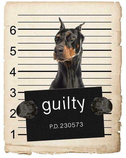 Doberman Pinscher Mugshot Bad Dog Fridge refrigerator Car Magnet