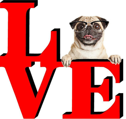 Pug Park Cute Dog Fridge Refrigerator Car Magnet