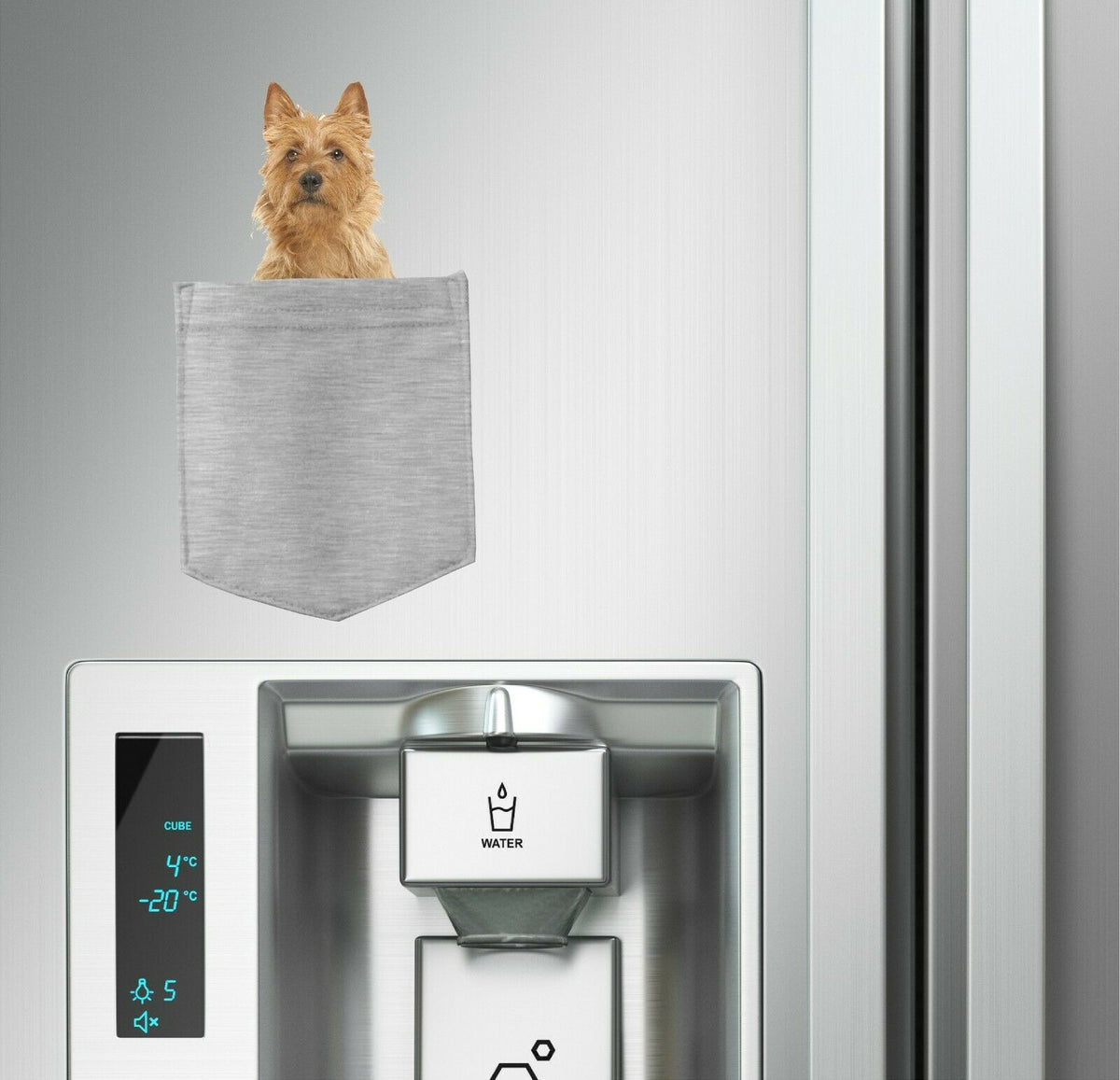 Australian Terrier Dog in pocket Fridge Car Magnet Bumper Sticker App size 4"x7"