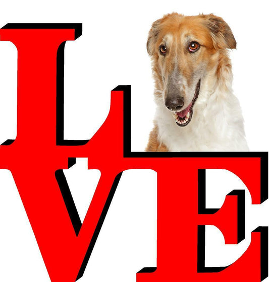 Borzoi Dog Love Park Cute Dog Fridge Refrigerator Car Magnet