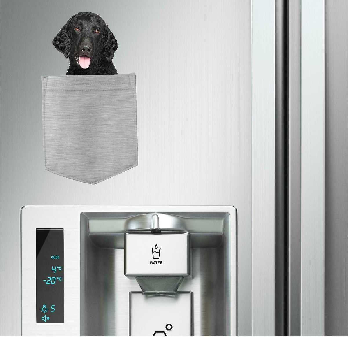 Retriever Curly-Coated in pocket Fridge Car Magnet Bumper Sticker App size 4"x7"