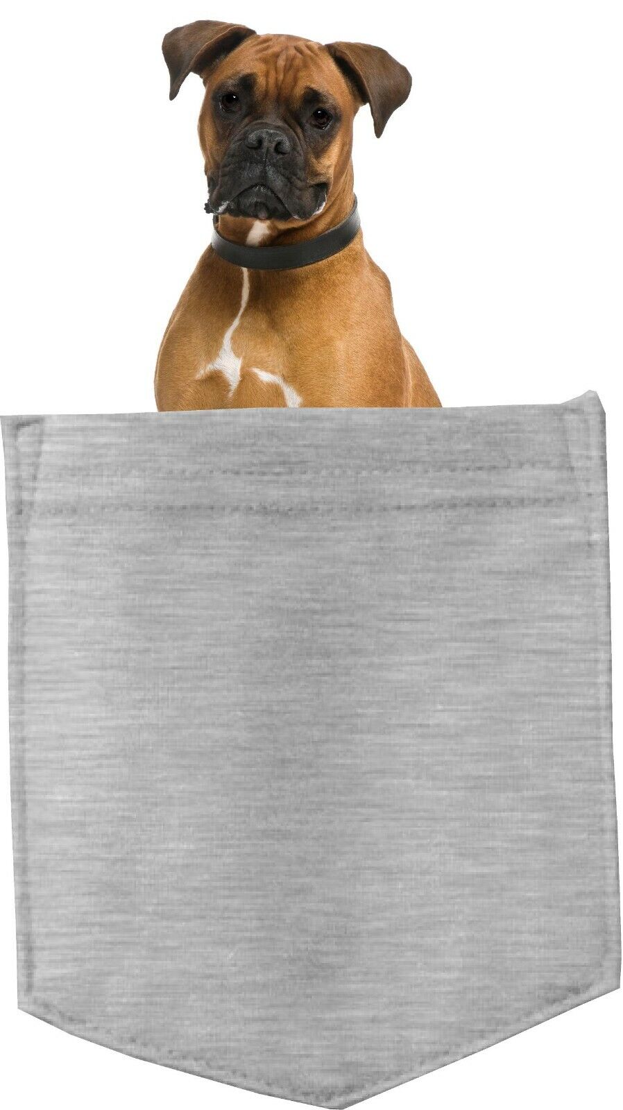 Boxer Dog in pocket Fridge Car Magnet Bumper Sticker App size 4"x7"