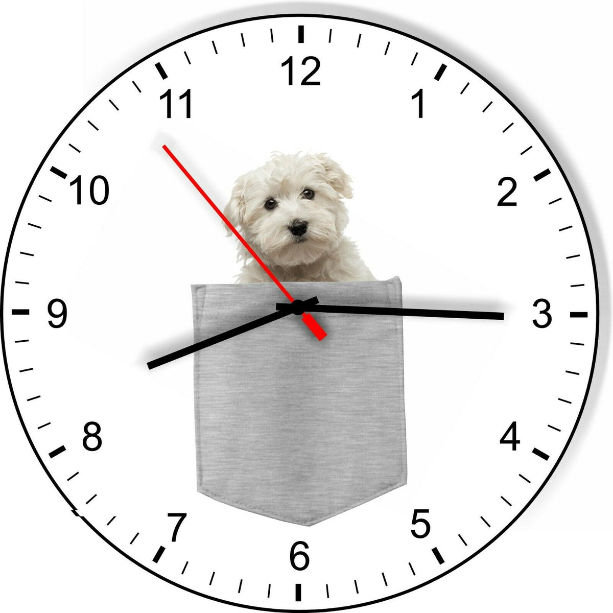 Maltese In Your Pocket Dog kitchen living room Wall Clock