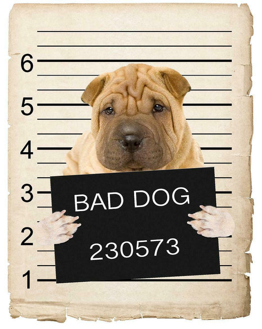 Chinese Shar-pei Mugshot Bad Dog Fridge refrigerator Car Magnet