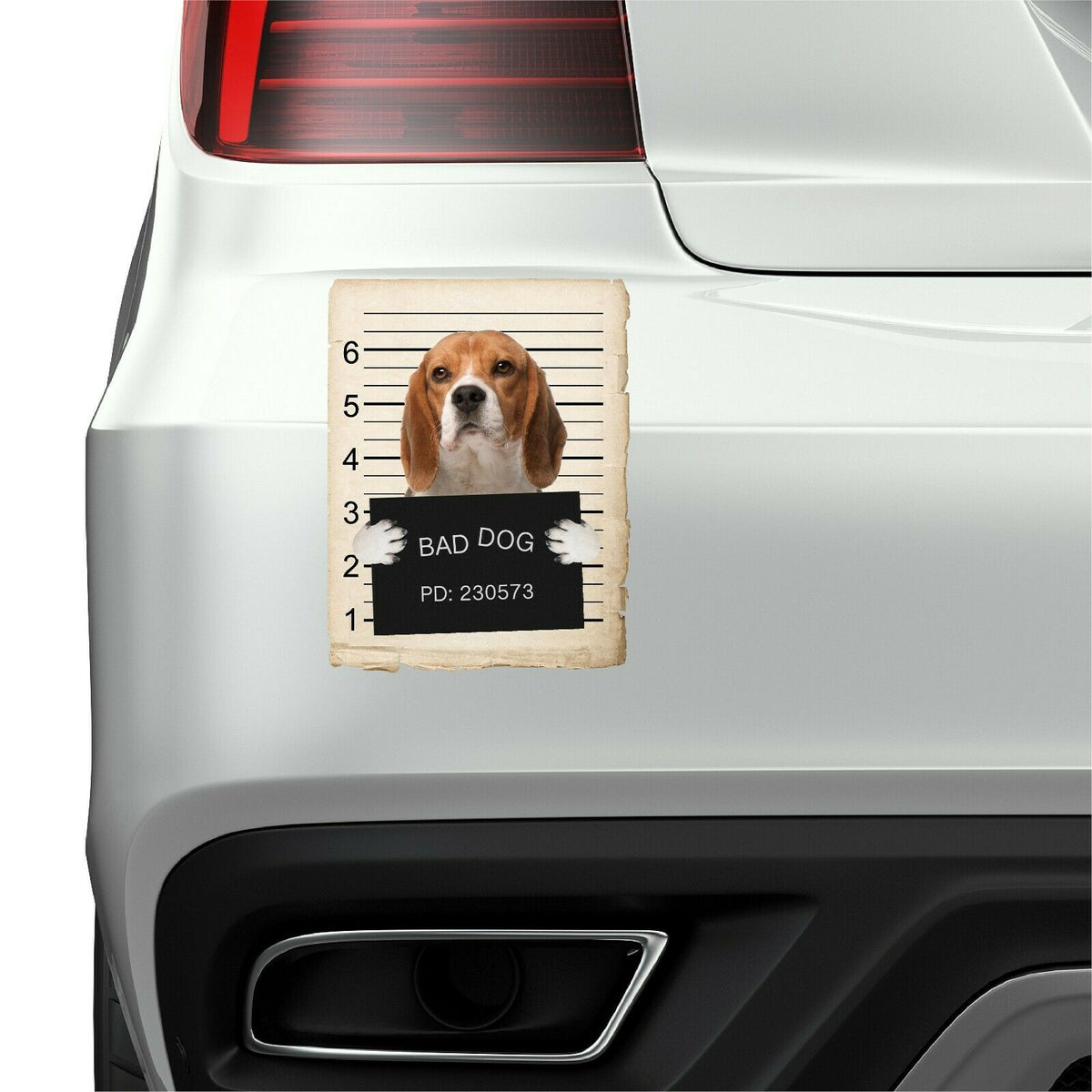 Beagle Mugshot Bad Dog Fridge refrigerator Car Magnet Bumper Sticker