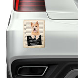 Norwich Terrier Mugshot Bad Dog Fridge refrigerator Car Magnet