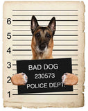 Belgian Malinoi Mugshot Bad Dog Fridge refrigerator Car Magnet