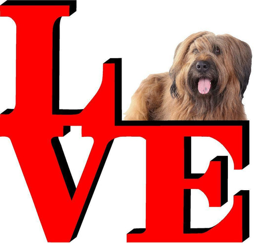 Briard Dog Love Park Cute Dog Fridge Refrigerator Car Magnet