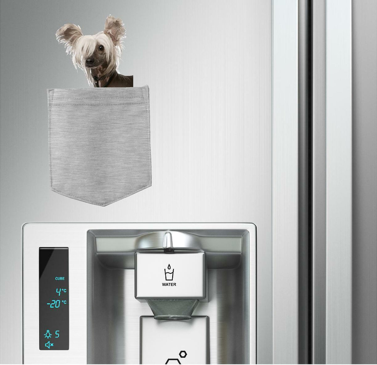 Chinese Crested Dog in pocket Fridge Car Magnet Bumper Sticker App size 4"x7"