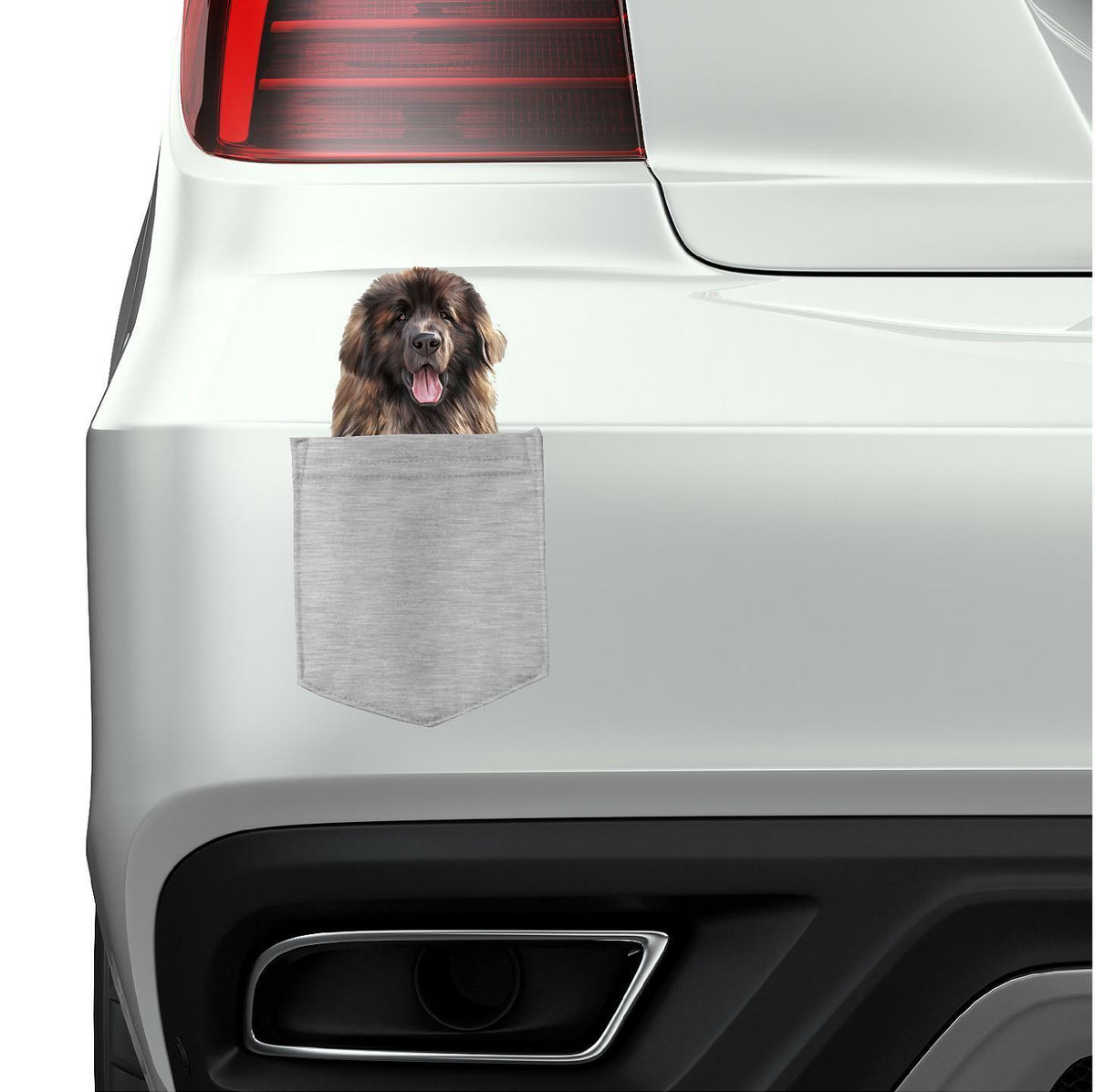 Leonberger Dog in pocket Fridge Car Magnet Bumper Sticker App size 4"x7"