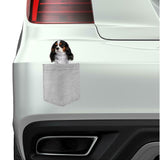 Cavalier King Charles in pocket Fridge Car Magnet Bumper Sticker App size 4"x7"
