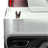 Toy Fox Terrier Dog in pocket Fridge Car Magnet Bumper Sticker App size 4"x7"