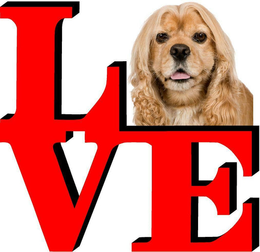 American Cocker Spaniel Love Park Cute Dog Fridge Refrigerator Car Magnet