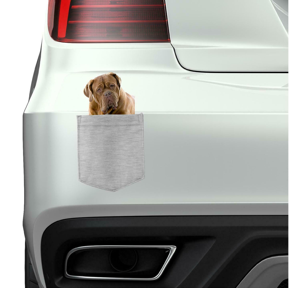 Bull Mastiff Dog in pocket Fridge Car Magnet Bumper Sticker App size 4"x7"