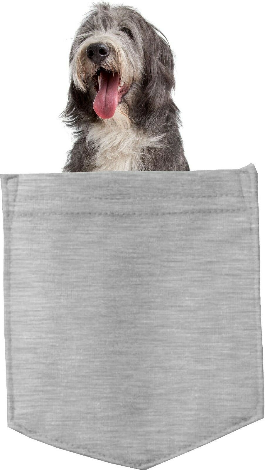 Bearded Collie Dog in pocket Fridge Car Magnet Bumper Sticker App size 4"x7"