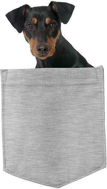 German Pinscher Dog in pocket Fridge Car Magnet Bumper Sticker App size 4"x7"