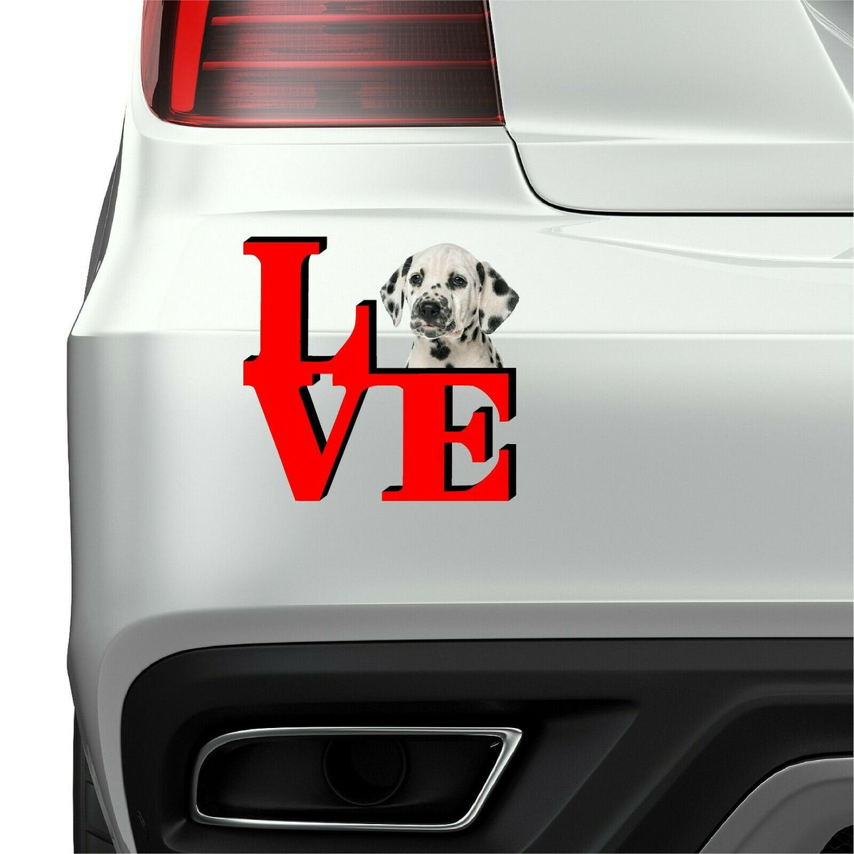Dalmatian Dog Love Park Dog Fridge Refrigerator Car Magnet