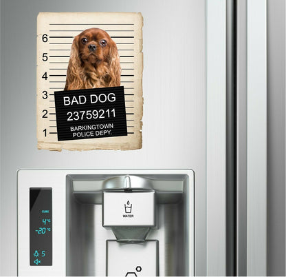 Cavalier King Charles Spaniel Mugshot Bad Dog Fridge refrigerator Car Magnet