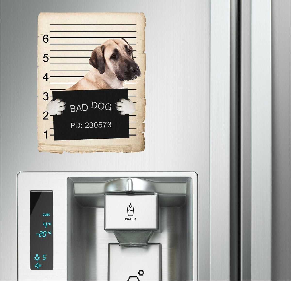 Anatolian Shepard Mugshot Bad Dog Fridge refrigerator Car Magnet