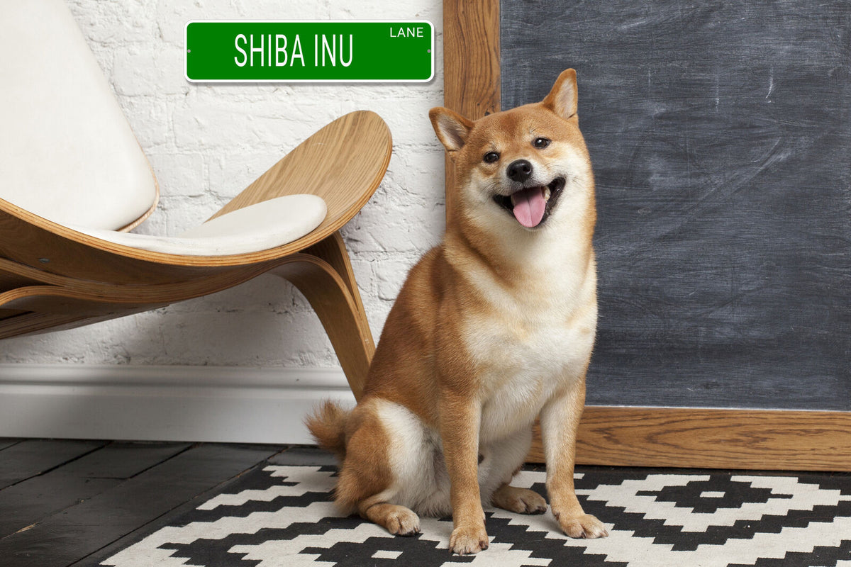 LHASA APSO LANE 24"x6 ALUM COMPOSITE SIGN